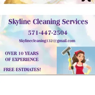 Skyline Home  Cleaning
