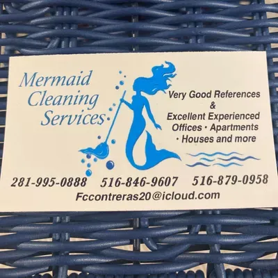 Mermaid Cleaning