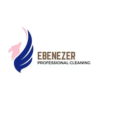 Ebenezer Professional Cleaning LLC