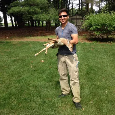 D’Armando Landscape services