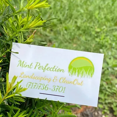 Mint Perfection Landscaping & Cleanup