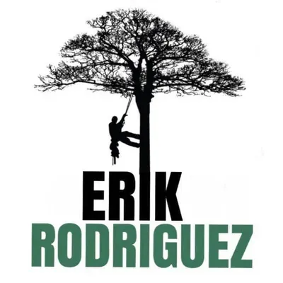 Erik Rodriguez Tree and Lawn