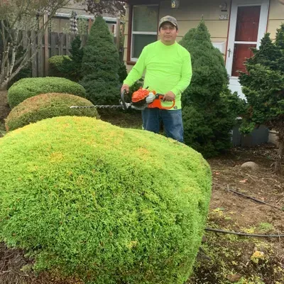 Sebastian Lawn  care
