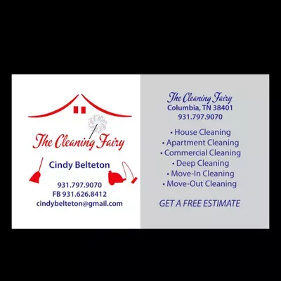 the cleaning fairy