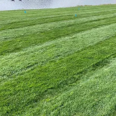 Graze Lawn Care
