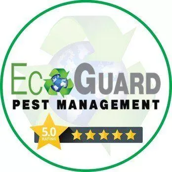 EcoGuard Pest Management (San Diego)