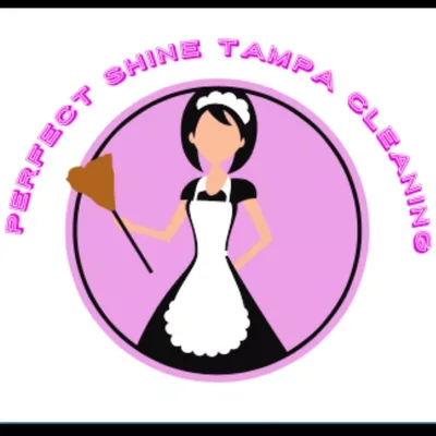 Perfect Shine Tampa cleaning