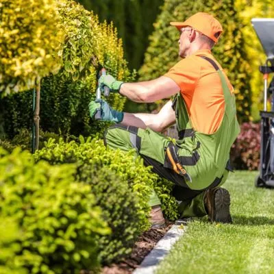 Pro A-Z Landscaping