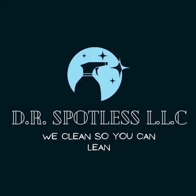 D.R. Spotless L.L.C.