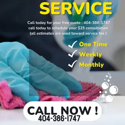 D3 cleaning pros