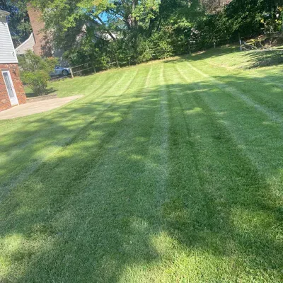 Knock it down Landscaping