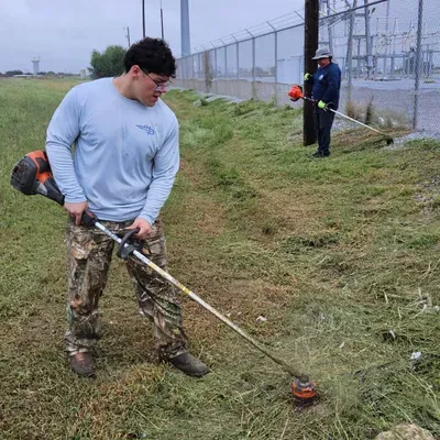 1Texas lawn care services