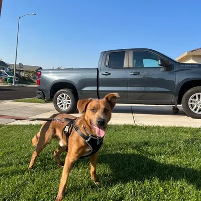 B.E.T.Z LAWNCARE