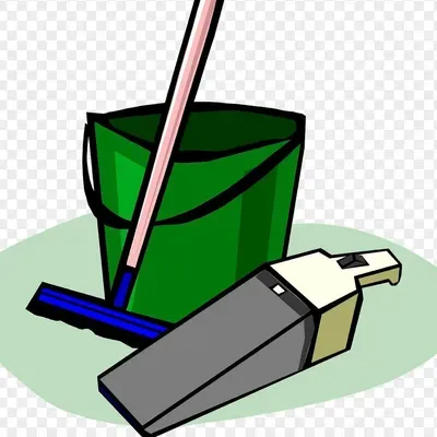 The family House cleaning
