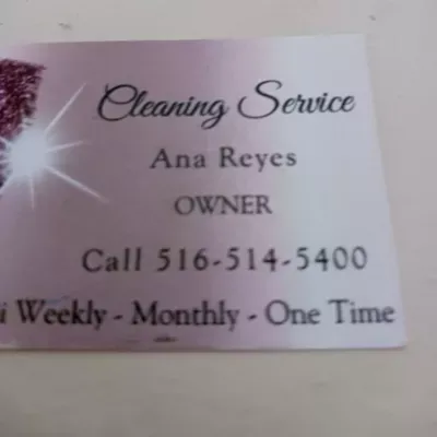 Cleaning Services Daysi