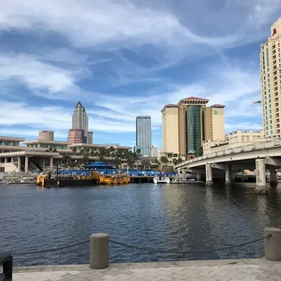 Tampa Property Care LLC