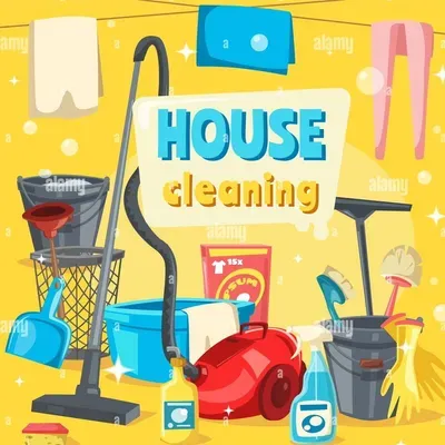 Larissa cleaning service