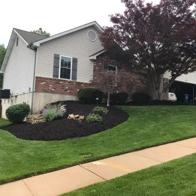 Trejo’s landscaping Llc