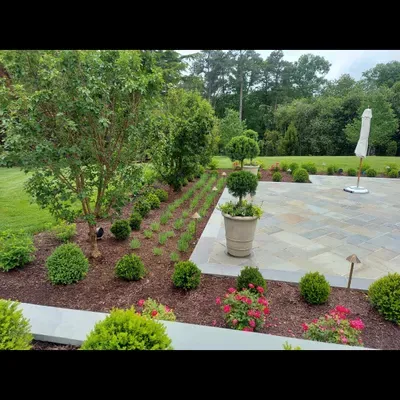 Mejia&Son Landscaping&JunkRemoval