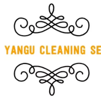Baba Yangu Cleaning Services LLC