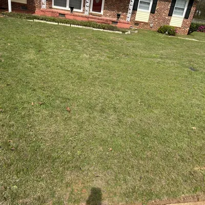 Prefection lawn Care
