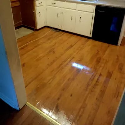 Elite Cleaning XL