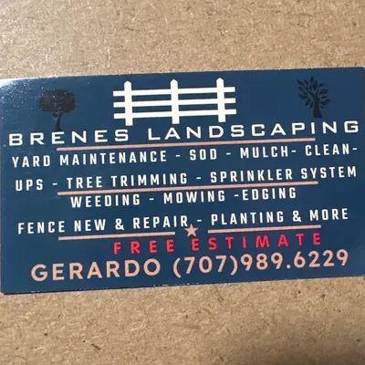Brenes Landscaping