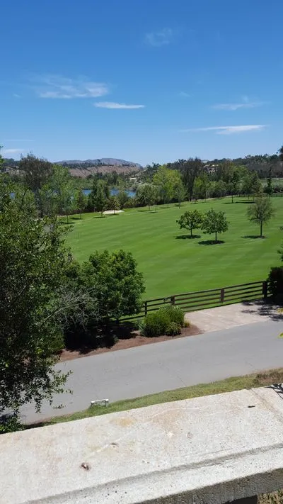 Landscaping and Maintenance