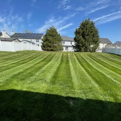 TrueView landscaping