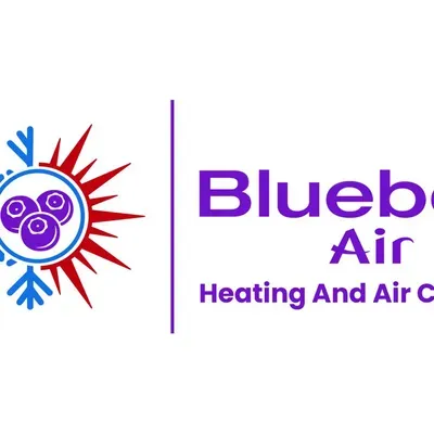 Blueberry Air