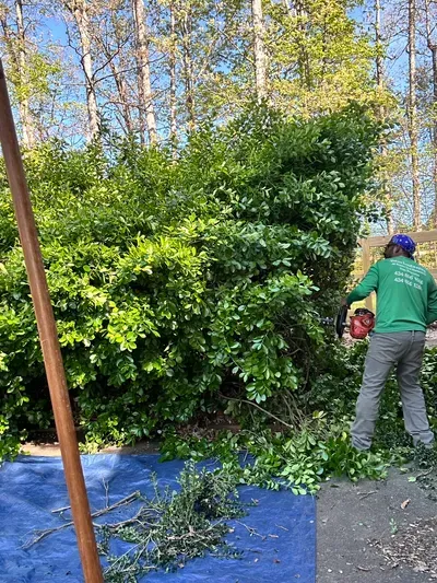 Dolan landscaping LLC
