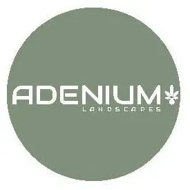 Adenium Landscapes