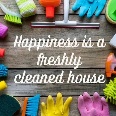 Fernanda”s cleaning pro