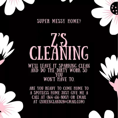 Z’s cleaning