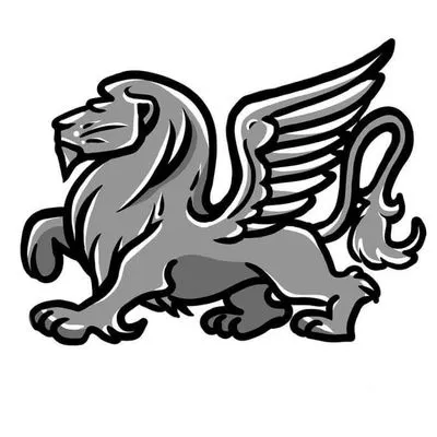 Silver Lion Roofing