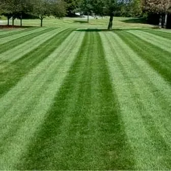 Great Gardens Landscaping LLC