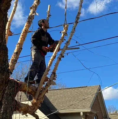 Smith and sons fix it all