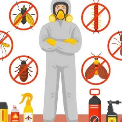 Pest Gone