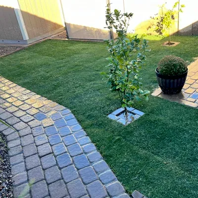 Mario's Landscaping