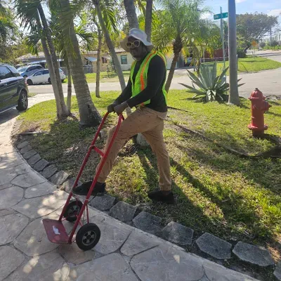 Dongogo 90 LLC Moving.