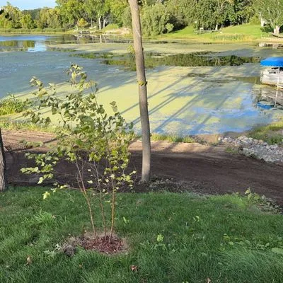 Gladstone landscaping