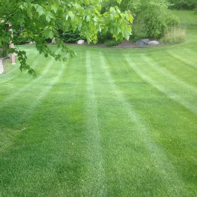 Aesthetics Lawn Care