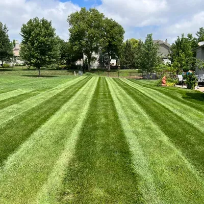 Green Go