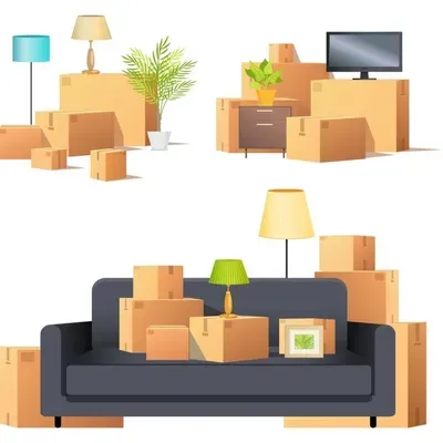 Delve-Explore Moving Services LLC