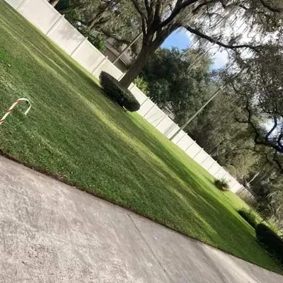 pro mows lawn service