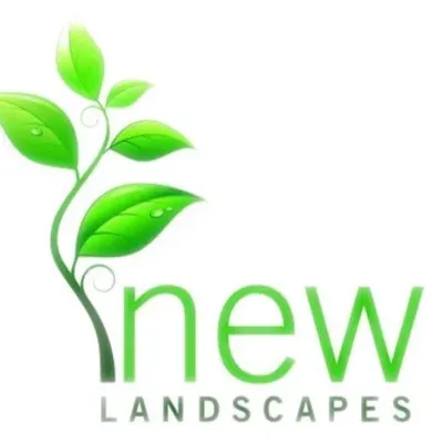 New Landscapes