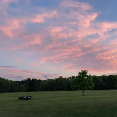 Sharp Dressed Lawn