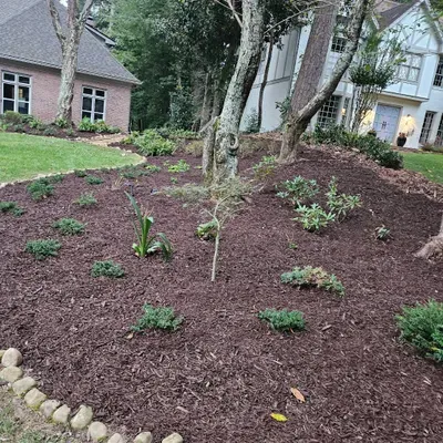 Francisco Landscaping