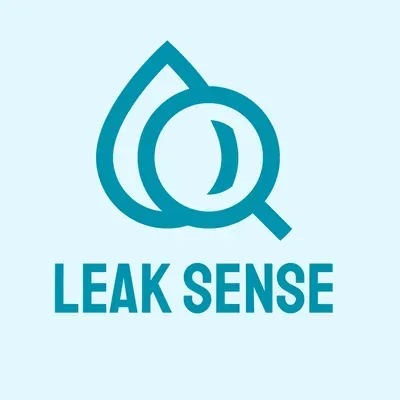 Leaksense