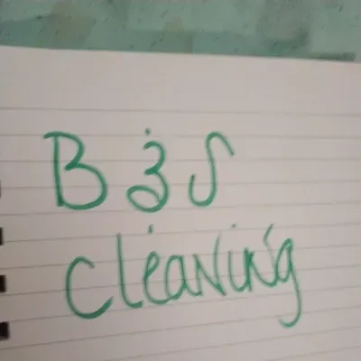 b&s cleaning